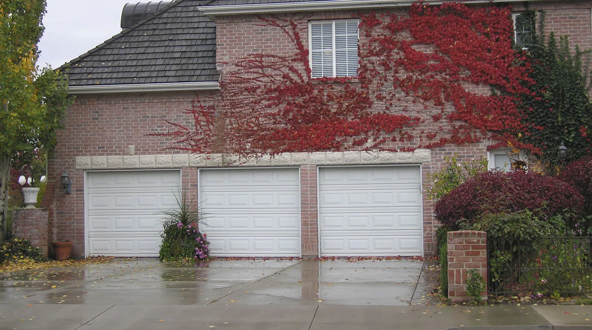 standard-garage-doors-4 Local Garage Doors installed Martin Garage Door
